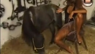 Prachtige mulat meisje geregeld zoo porno met pony