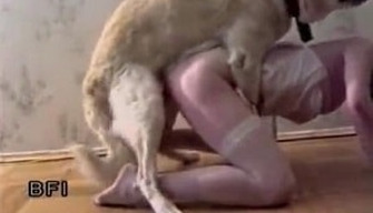 Filme antigo sobre um bonito tarado fazendo sexo com um cachorro