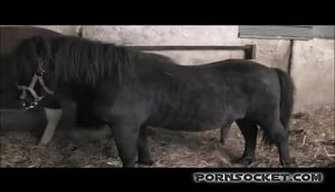 Ponys ficken sich verschiedene Frauen, die wie Ponys