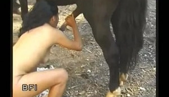 Religieux zoophile saccouplait avec un cheval noir