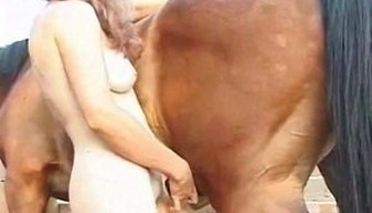 De cabelos vermelhos mulher chupa fora alguém elses cavalo na frente do jardim zoológico de sexo